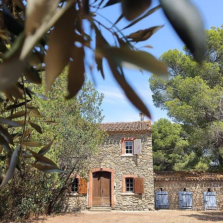 Mazet Du Chateau Joyeux De Violet Pépieux Eksteriør bilde